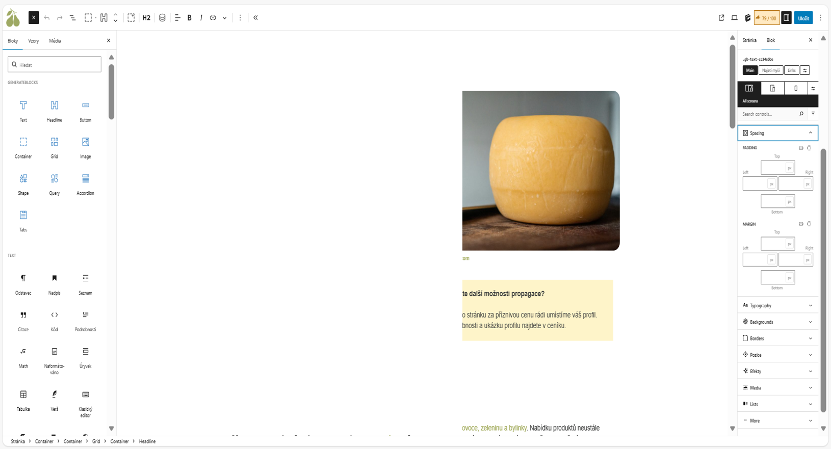 Redakční systém Wordpress - s blokovým editorem Guttenberg