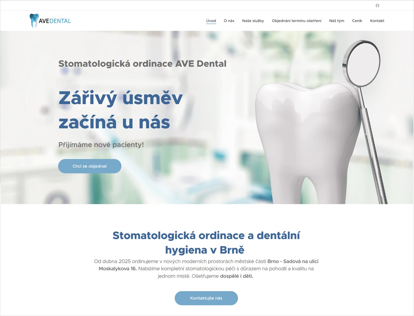 Rozsáhlejší webové stránky šablonami Webnode s tarifem Standard