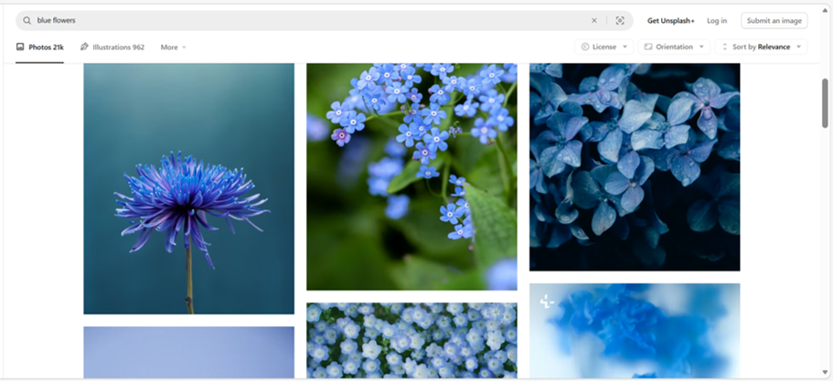 Bezplatné fotografie ke stažení v databázi Unsplash.com - klíčové slovo "modrá květina"