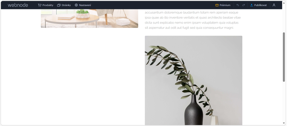 Obrázek po přesunutí