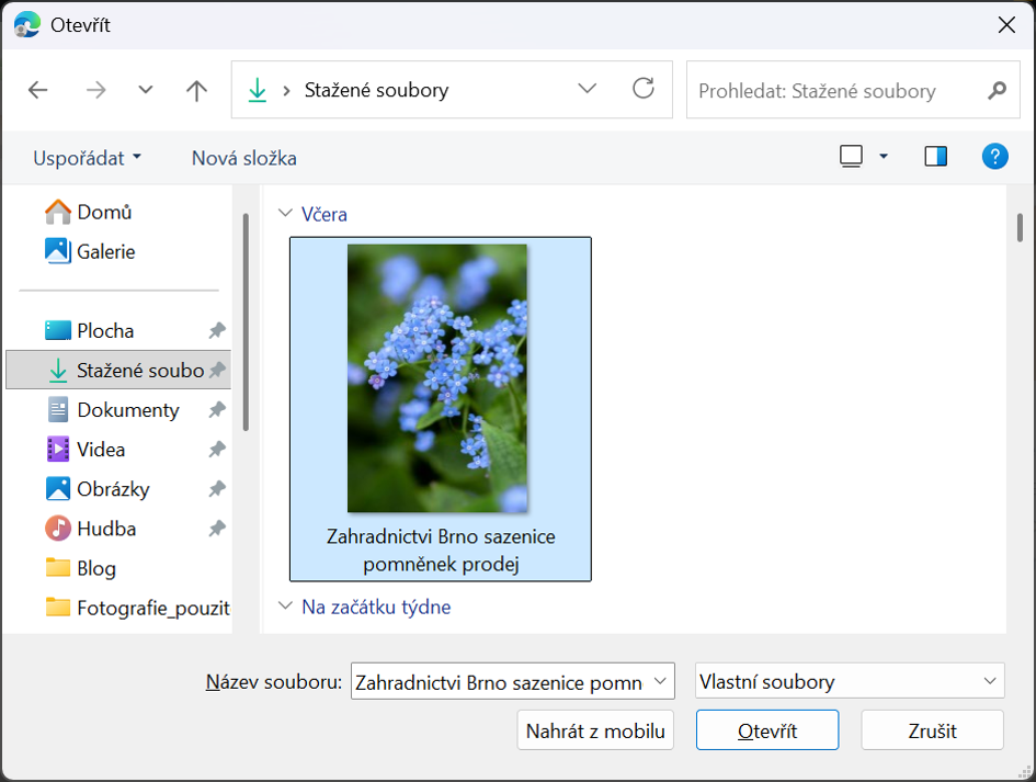 Výběr vlastních fotografií - nahrání z počítače do šablony Webnode