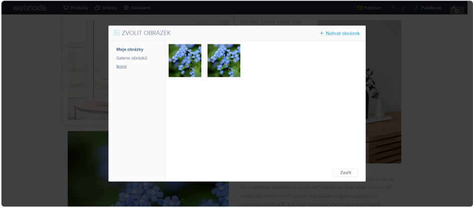 Vlastní obrázky nahrané do šablony Webnode najdete v Moje obrázky