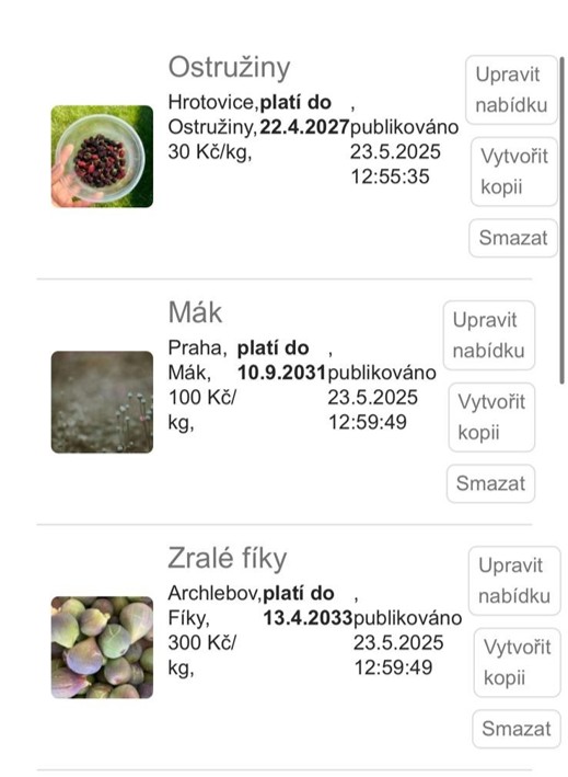 Zanedbané zobrazení na mobilních zařízeních - šlatné formátování sekce programované na míru v rámci šablony Wordpress - rozhozené formátování textů, šlatné umístění tlačítek a další.